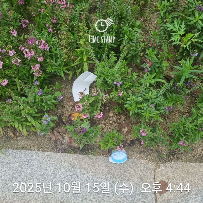 김천시.동네.쓰레기.플로깅